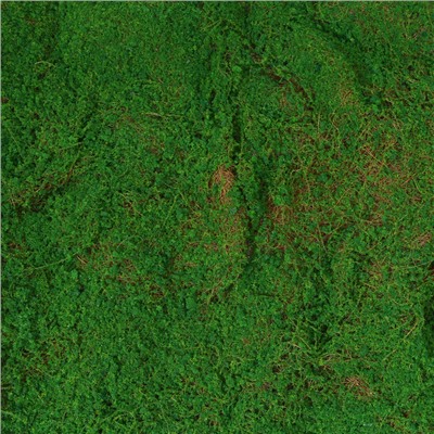 Мох искусственный, декоративный, полотно 1×1 м, зелёный, Greengo