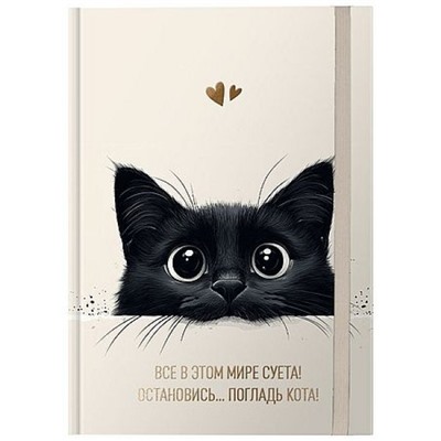 Ежедневник недатированный А5 256 стр. "ПОГЛАДЬ КОТА" DNBL-RGLK LITE