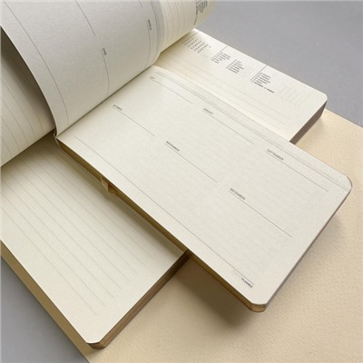 Еженедельник недатированный А6 160 стр. ЛАЙТ "Fauna.Птицы" 3-741/08 Bruno Visconti