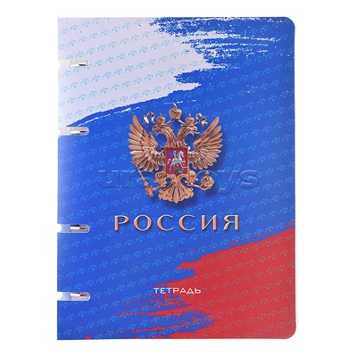 Тетрадь 80л. на кольц. А5 пл.обл., "Россия"