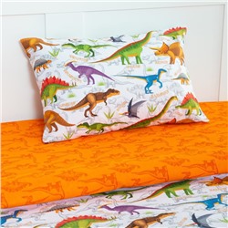 Постельное бельё 1.5-спальное «Этель. Динозавры», бязь