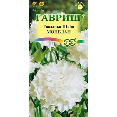 Гвоздика Шабо Монблан (Гавр)