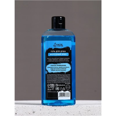 Новогодний подарочный набор косметики «Классного Нового года», гель для душа 250 мл и мочалка для тела, Чистое счастье, 18+