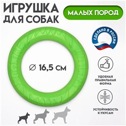 Кольцо «ДогЛайк» d=5195, 8-мигранное, миниатюрное, d=16.5 см, зелёное