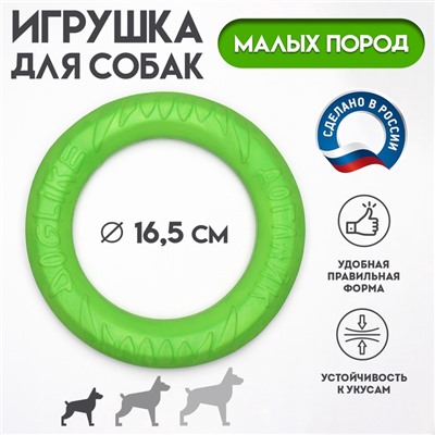 Кольцо «ДогЛайк» d=5195, 8-мигранное, миниатюрное, d=16.5 см, зелёное