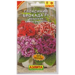 Глоксиния Брокада Смесь (Код: 73338)