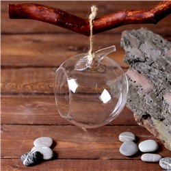 Флорариум «Натурель», яблоко, с веревкой, d=5.5 см, 11×9 см, стекло, прозрачный