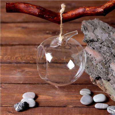 Флорариум «Натурель», яблоко, с веревкой, d=5.5 см, 11×9 см, стекло, прозрачный