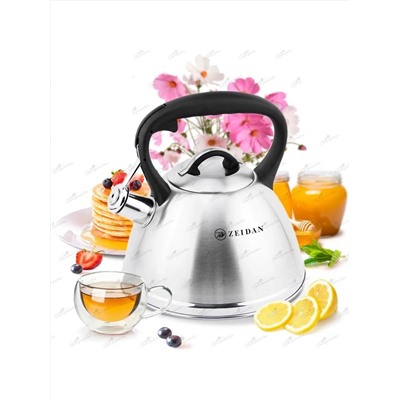 ZEIDAN Чайник Z-4468