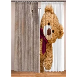 Фотошторы #23062488