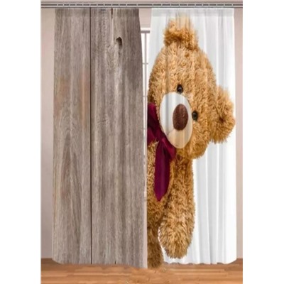 Фотошторы #23062488