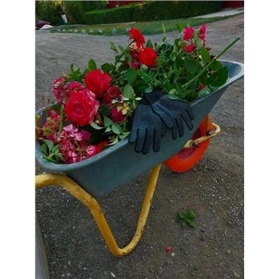 Перчатки #23020767