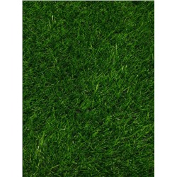 Газон искусственный, ворс 30 мм, 2×5 м, трёхцветный, тёмно-зелёный, Greengo