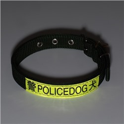 Ошейник двухслойный с вертлюгом, 2 см, зелёный