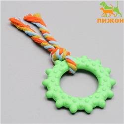 Игрушка жевательная с канатом «Кольцо с хвостом», зелёная