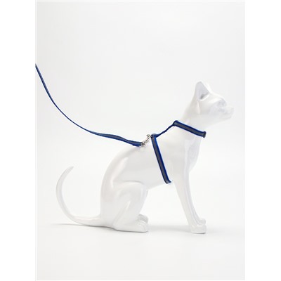 Комплект для кошек, шлейка 21-35 см, ширина 1 см, поводок 120 см, светоотражающий, синий