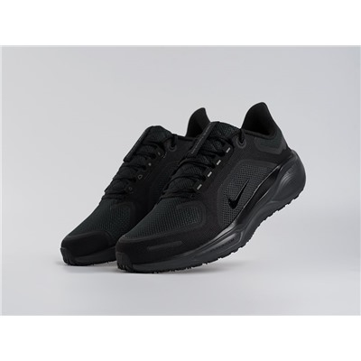 Кроссовки Nike Air Zoom Pegasus 41
