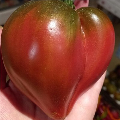 7143Т Томат Чёрное сердце от Борисовны 10шт