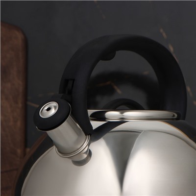 УЦЕНКА Чайник со свистком Доляна «Квант», 2.8 л, фиксированная ручка, цвет чёрный