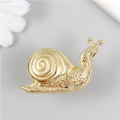 Ручка для шкатулки металл «Улитка», золото, 2.8×5.2 см
