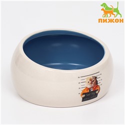 Миска керамическая Tasty, скошенный край 200 мл - 10.5×10.5×5.6 см, синяя/белая
