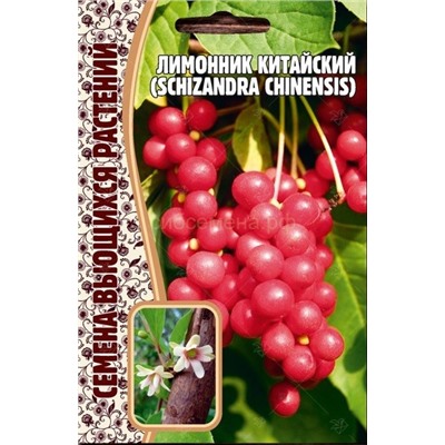 Лимонник Китайский (Редкие)
