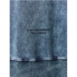 СВИТШОТ МУЖСКОЙ 121873/1