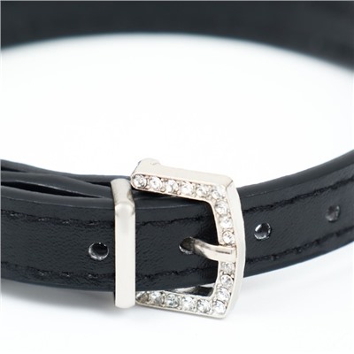 Ошейник, 38×1.5 см, ОШ 26-33, со стразами в 4 ряда, стразы на пряжке, чёрный