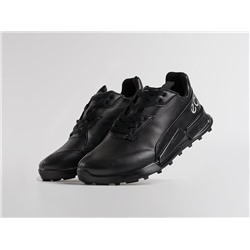 Кроссовки ECCO BIOM 2.1 X MOUNTAIN
