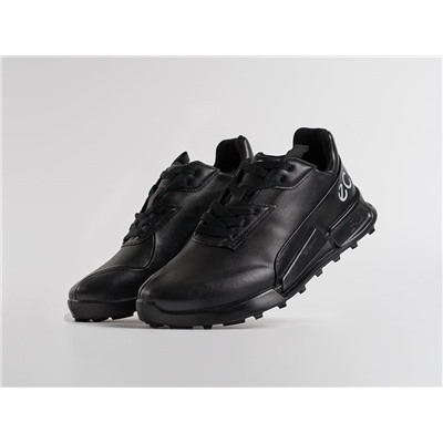 Кроссовки ECCO BIOM 2.1 X MOUNTAIN