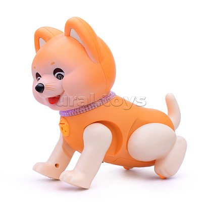 Развивающая игрушка "Собака" в коробке