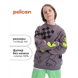 PELICAN Толстовка BFN3369/2