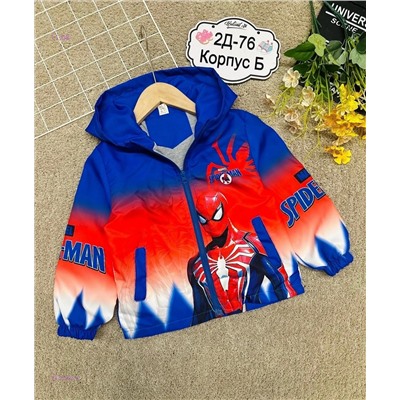 ветровка 1975863-2