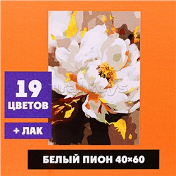 Картина по номерам "Белый пион" 40х60