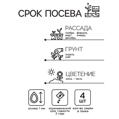 Семена комнатных цветов Бегония "Дип Ред", ц/п,  4 шт