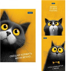 Блокнот А6  40л клетка на склейке "Пушистый философ" (093611) Хатбер