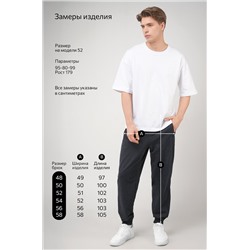 Мужские брюки из футера двухнитки Happyfox