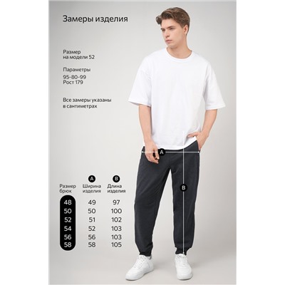 Мужские брюки из футера двухнитки Happyfox