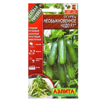 Набор семян Огурец пучковый, 10 сортов, «Мой выбор»