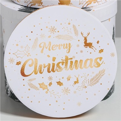 Набор подарочных коробок 5 в 1 «Белое золото», 13×14‒19.5×22 см, Новый год