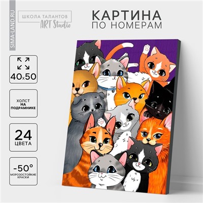 Картина по номерам на холсте с подрамником «Множество котиков», 40×50 см