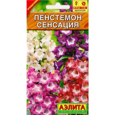 Пенстемон Сенсация смесь окрасок (Код: 82617)