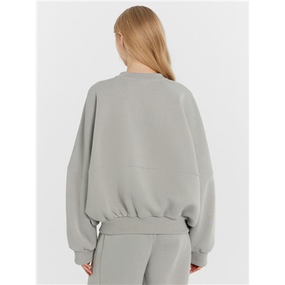 ТОЛСТОВКА ЖЕНСКАЯ 172112