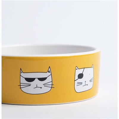 Миска «Опасные коты», 230 мл, 12.5×4.5 cм, керамика, белая, оранжевая