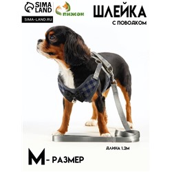 Комплект амуниции с мягкой шлейкой, М, поводок 120×1 см, ОШ 28-48 см, ОГ 32-52 см, серый