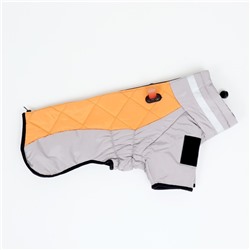 Куртка для больших собак, размер 3XL, ДС 50, ОШ 49, ОГ 69 см, мембрана, серая, оранжевая