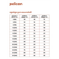 BZVM3352 (Жилет для мальчика, Pelican )