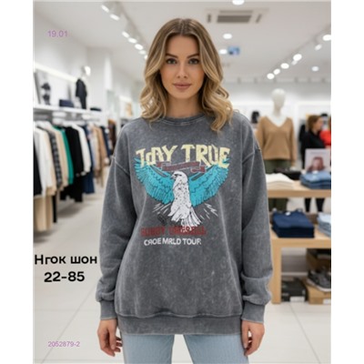 Толстовка 2052879-2