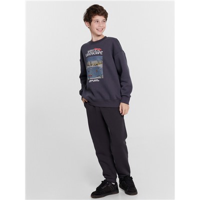 СВИТШОТ ДЛЯ МАЛЬЧИКОВ 123437/1