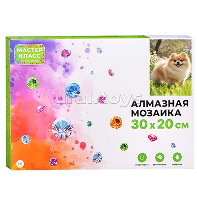 Мозаика алмазная "Шпиц" 20*30см